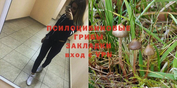 ешки Гусиноозёрск