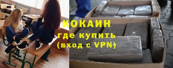 индика Гусев