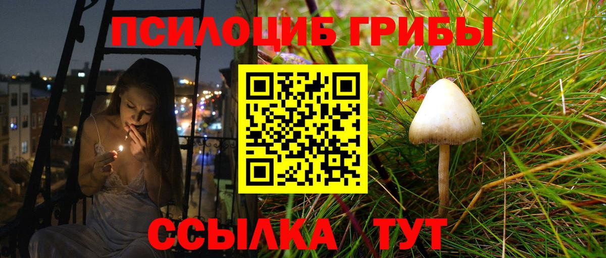Галлюциногенные грибы мухоморы Железногорск