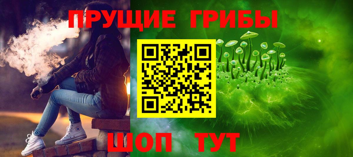 Железногорск  Галлюциногенные грибы мицелий  Галлюциногенные грибы Cubensis  Вход с VPN 